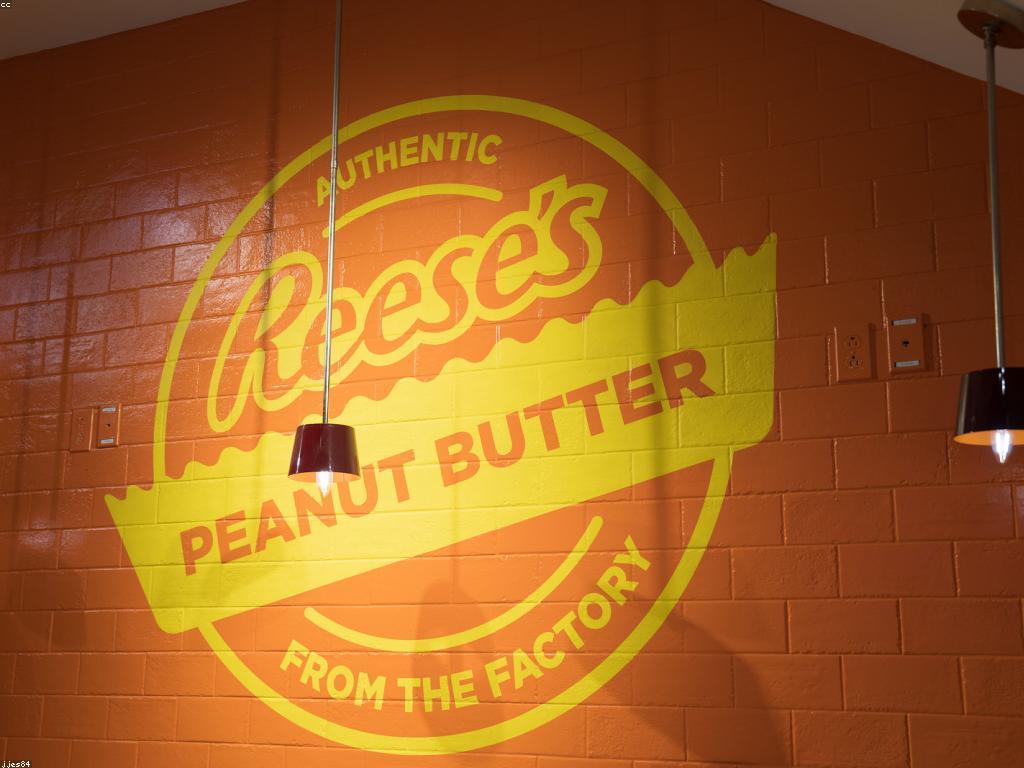 អនាគតនៃទីផ្សារត្រី