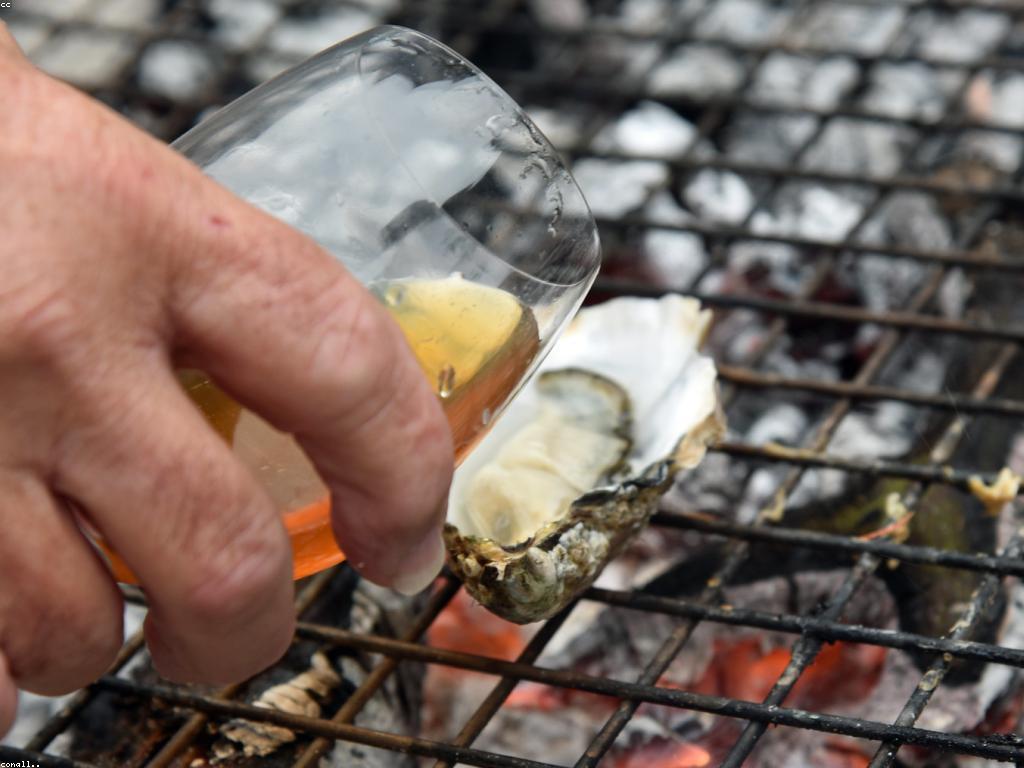 ព័ត៌មានអំពីត្រី: សារៈសំខាន់នៃត្រីក្នុងអាហារប្រចាំថ្ងៃ