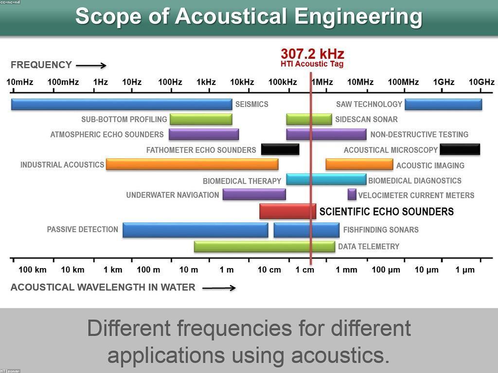 ការយល់ដឹងអំពីអាកប្បកិរិយានៃត្រី