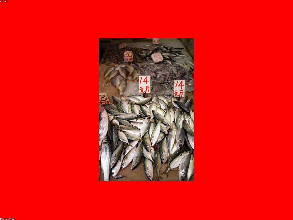 សារៈសំខាន់នៃត្រីក្នុងអាហារប្រចាំថ្ងៃ