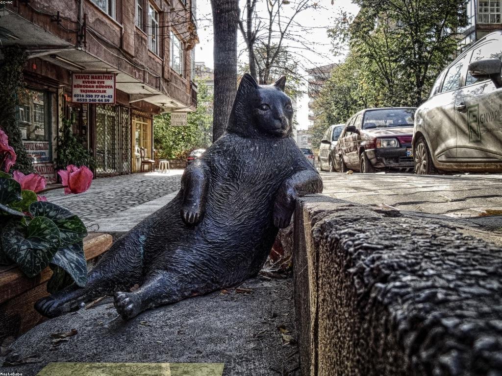 មគ្គុទេសក៍ការថែទាំត្រី