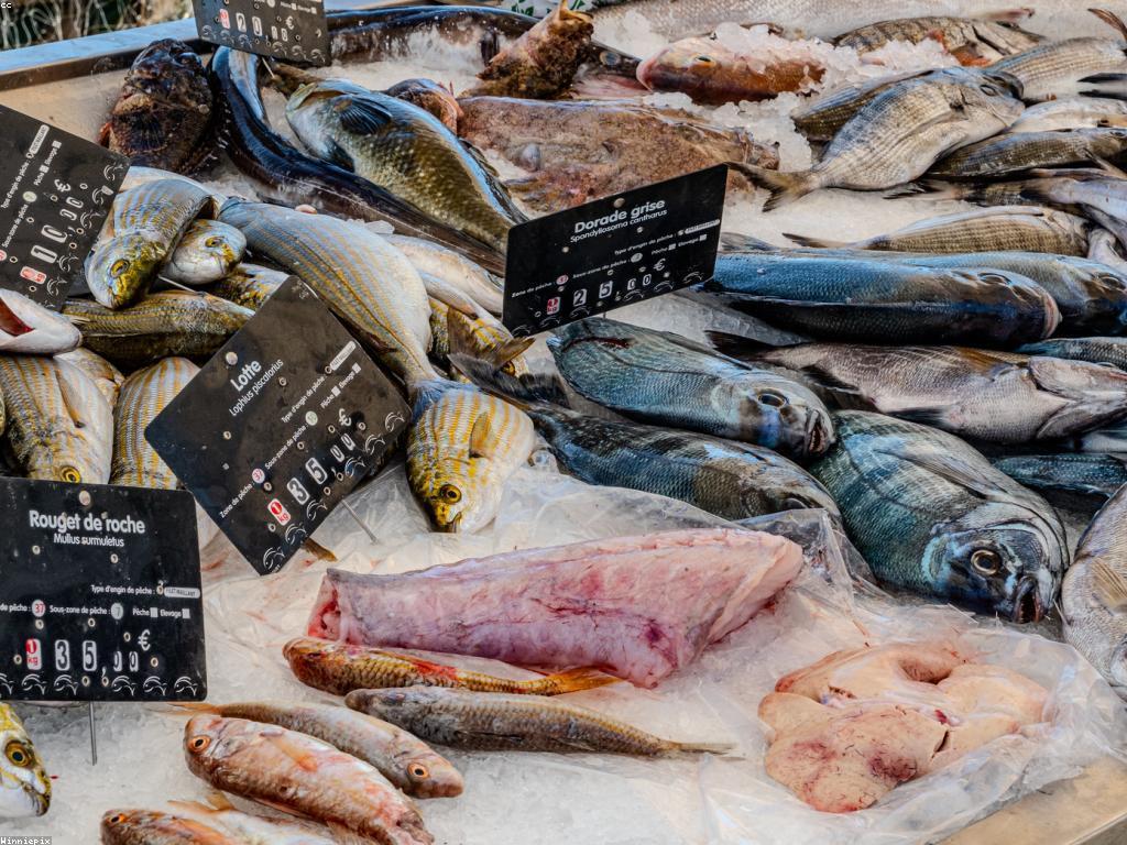 អត្ថប្រយោជន៍នៃការទទួលទានត្រី